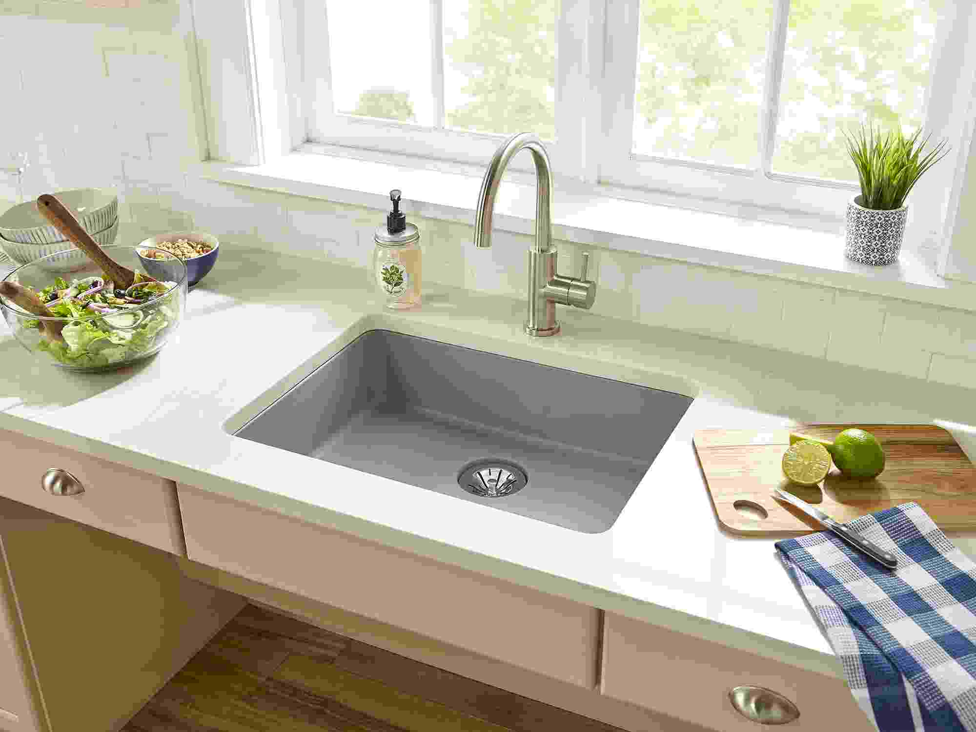 Sinks Elkay