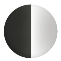 Black Stainless Chrome Swatch