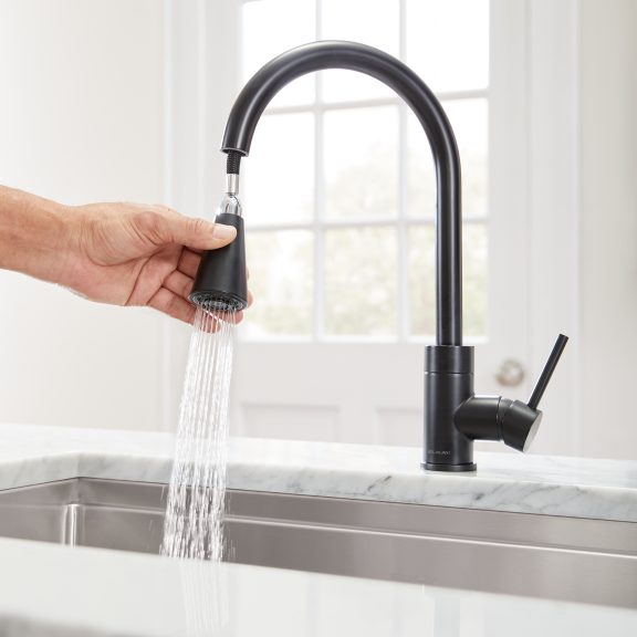 Elkay Avado Kitchen Faucet with Pull-down Spray