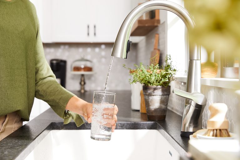 2-in-1 Faucet with Filtration