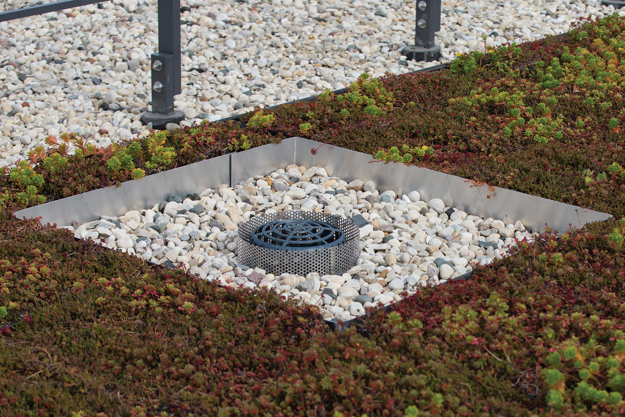 Roof Drain Webinars